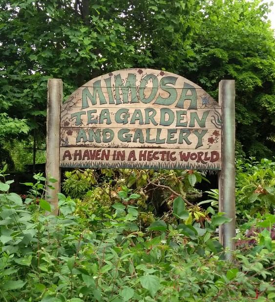 LVL EXPLORES THE MAGICAL MIMOSA TEA GARDEN!