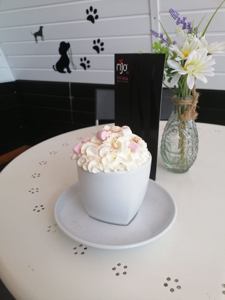 NEW DOG CAFE OPEN IN WIRRAL!